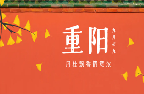 九九重阳胜春光，尊老守候情意长